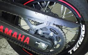 YAMAHA TENERE 700 2020 DM09J