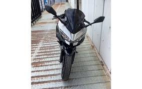 KAWASAKI NINJA 250 EX250P