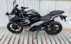 KAWASAKI NINJA 250 EX250P