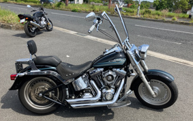 HARLEY FLSTF1340-1450 2010 BX5
