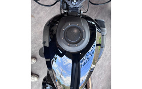 HARLEY FXDR114 2019 YVK