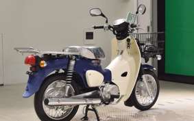 HONDA C110 SUPER CUB 2009 JA42