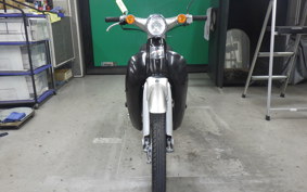 HONDA LITTLE CUB 2019 AA01