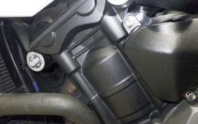 TRIUMPH STREET TRIPLE RS 2018