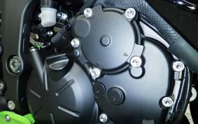 KAWASAKI NINJA ZX-6R A 2025 ZX636J