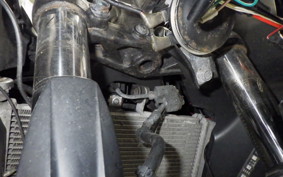 YAMAHA YZF-R25 A 1997 RG10J