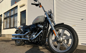 HARLEY HARLEY FXST1340-1450 2024 BVJ