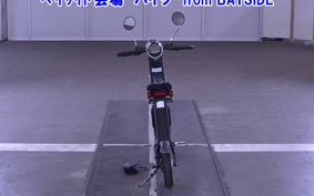 OTHER MINI BIKE