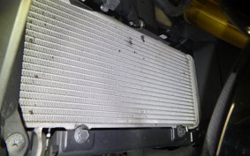 HONDA CBR250RR A MC51