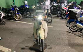 HONDA SUPER CUB50 AA09