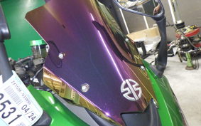 KAWASAKI NINJA 1000SX 2023 ZXT02K