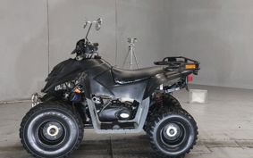 OTHER  BUGGY 50CC ..