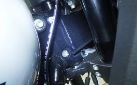 HARLEY FXLRST1920 2026