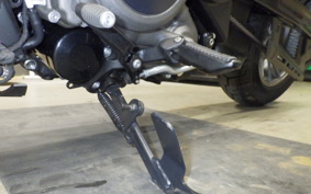 HARLEY RH975S 2024