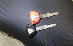 KAWASAKI Z250 Gen.2 EX250P