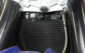 TRIUMPH TIGER 800 XR X 2019