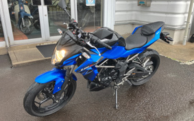 KAWASAKI Z250 SL BR250E