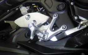 YAMAHA YZF R-3 2019 RH13J