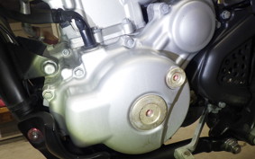 YAMAHA WR250X 2013 DG15J