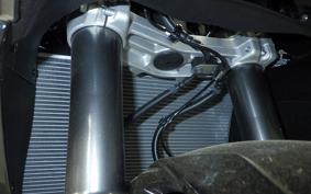 KAWASAKI NINJA 1000 SX 2024 ZXT02K