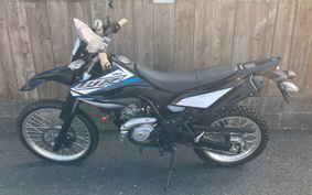 YAMAHA WR155R DG38