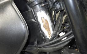 SUZUKI GRASS TRACKER NJ47A
