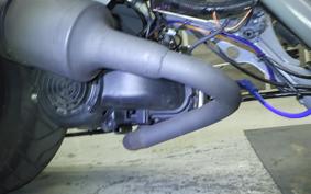 HONDA ZOOMER 2005 AF58