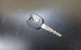 KAWASAKI NINJA 250 ABS EX250L