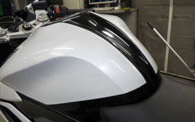 TRIUMPH DAYTONA660 2024