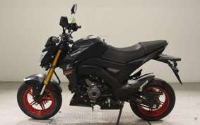 KAWASAKI Z125 PRO BR125H