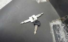 HONDA FORESIGHT 2019 MF04