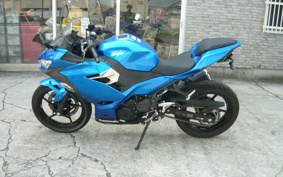 KAWASAKI NINJA 250 EX250P