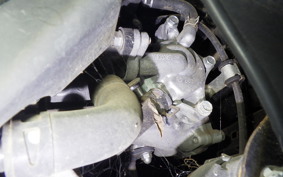 HONDA GIORNO 3 2022 AF77