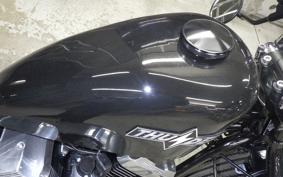 OTHER THUNDER250