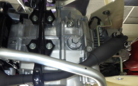 HONDA C50 SUPER CUB 2019 AA09