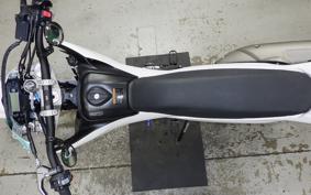 YAMAHA WR250X 2009 DG15J