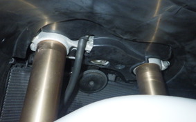 SUZUKI HAYABUSA Gen.2 2009