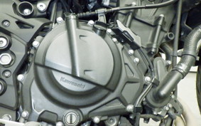 KAWASAKI Z250 Gen.2 1999 EX250P