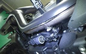HARLEY RH975S 2024