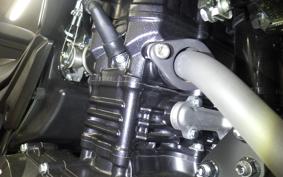 SUZUKI Vｽﾄﾛｰﾑ250