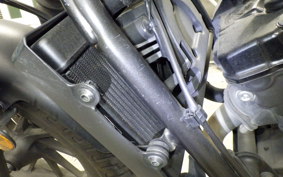 HONDA REBEL 250 S 2024 MC49