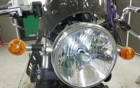 OTHER +UNREGISTERED MODEL by BDS125