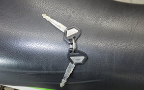 KAWASAKI SUPER SHERPA 2023 KL250G
