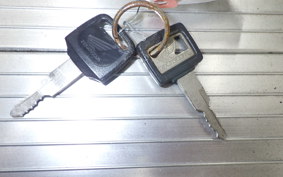 HONDA VT250FE 2017 MC08