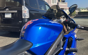 TRIUMPH TRIUMPH DAYTONA675 2010 TMD106