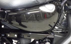 HARLEY XL883N 2021
