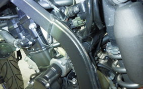 KAWASAKI KLX250D TRACKER X 2021 LX250V