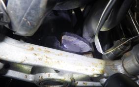 SUZUKI ST400 TEMPTER 2000 NK43A