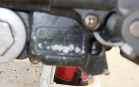 HONDA TLR200 MD09