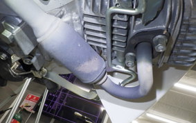 HONDA C110 SUPER CUB 2023 JA44